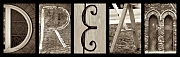 Wall_Art_Alphabet_Photography_Art_ 486